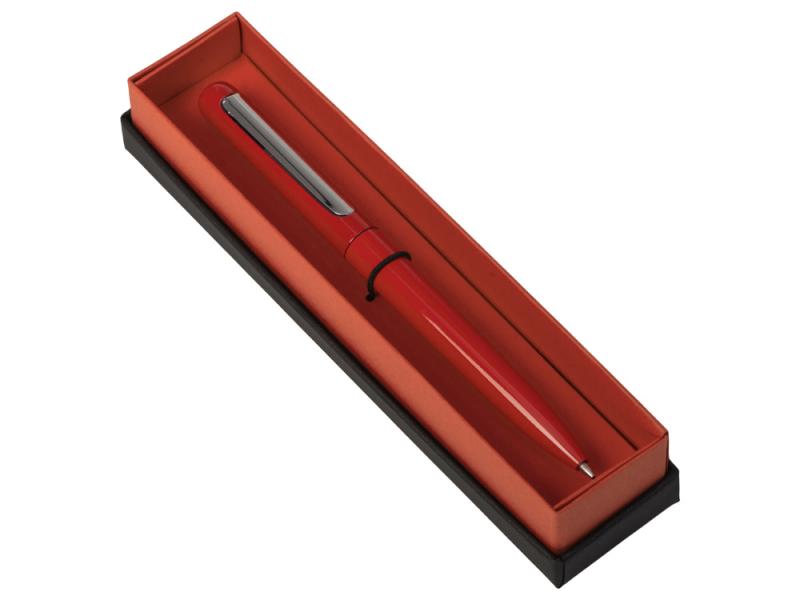 Ручка в футляре Blooming Skate