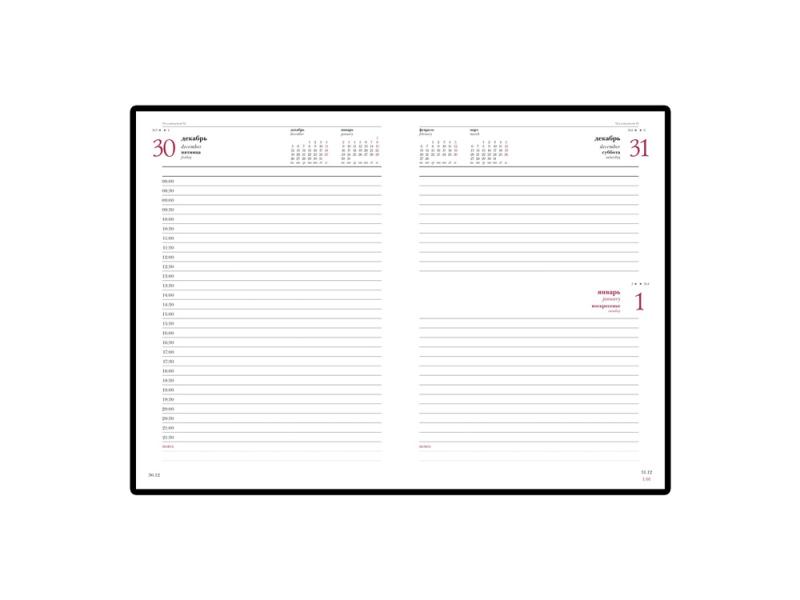 Ежедневник датированный А5 Sidney Nebraska на 2026 год