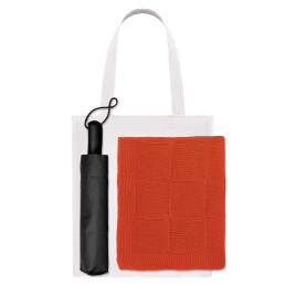 Подарочный набор Levante,  (зонт, плед, шоппер)