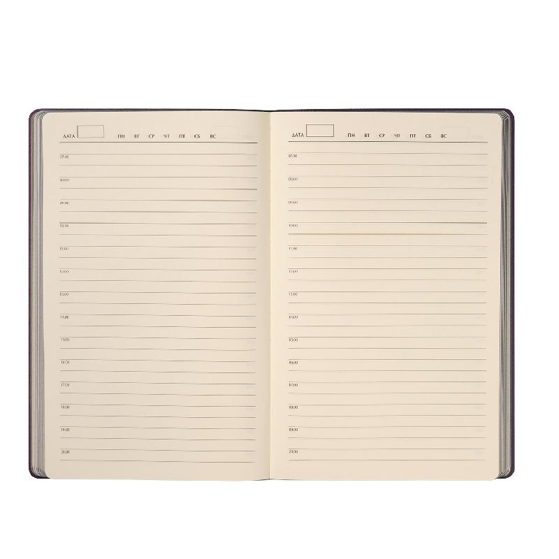 Ежедневник Рейн (Rain) недатированный, (без упаковки, без стикера)