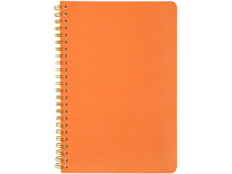 Бизнес тетрадь А5 Pragmatic