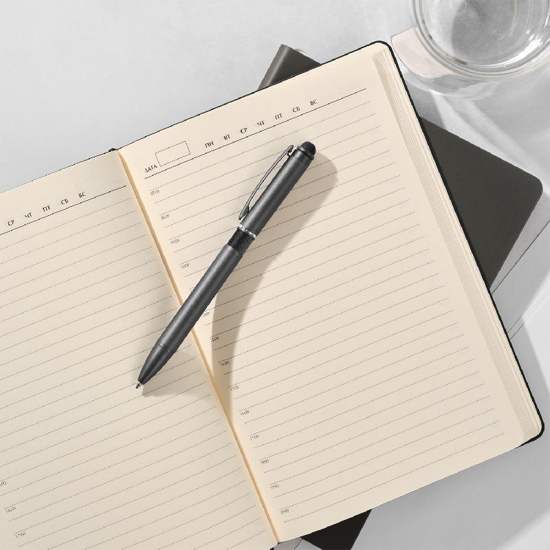 Шариковая ручка АйПи Хамелеон (IP Chameleon)