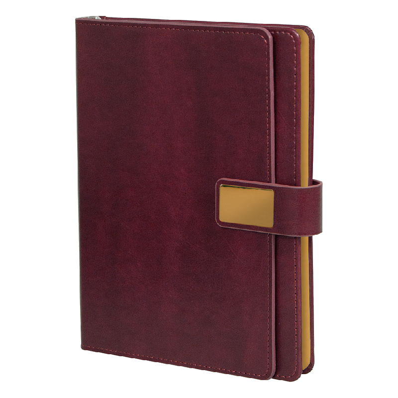 Ежедневник Alfa Brandy Business Edition B5 , в подарочной коробке