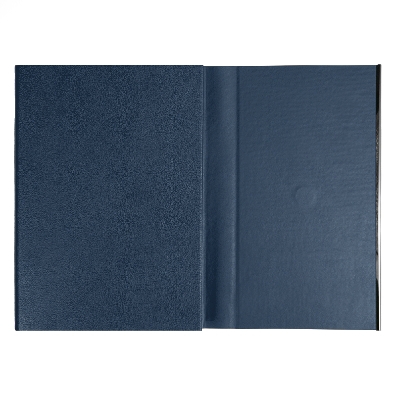 Ежедневник Alfa Bird Petrus A5, недатированный, в твердой обложке еталлическим элементом