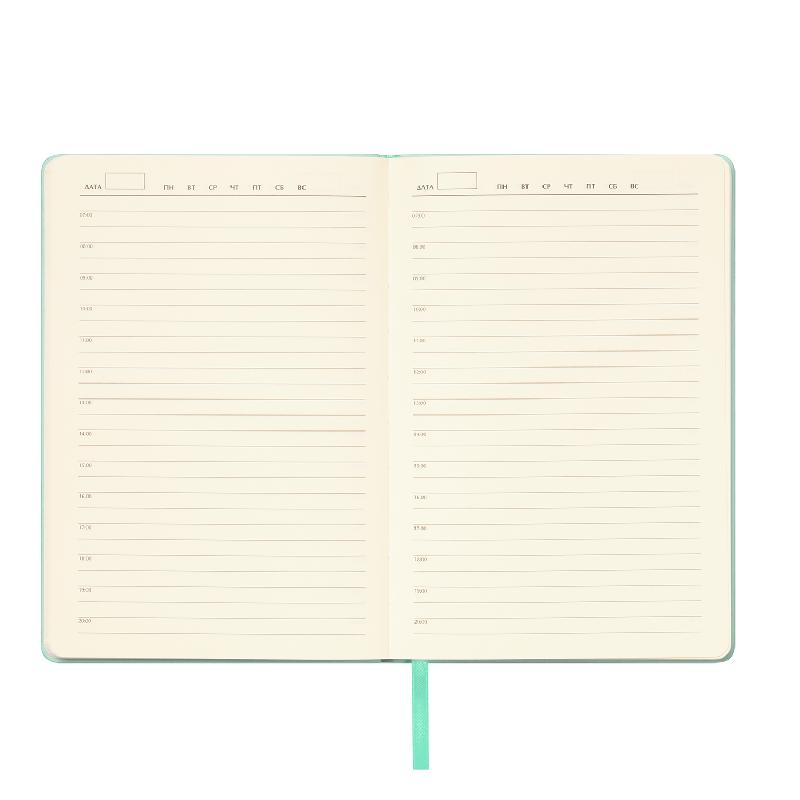 Ежедневник Spark недатированный,  (с упаковкой, со стикерами)