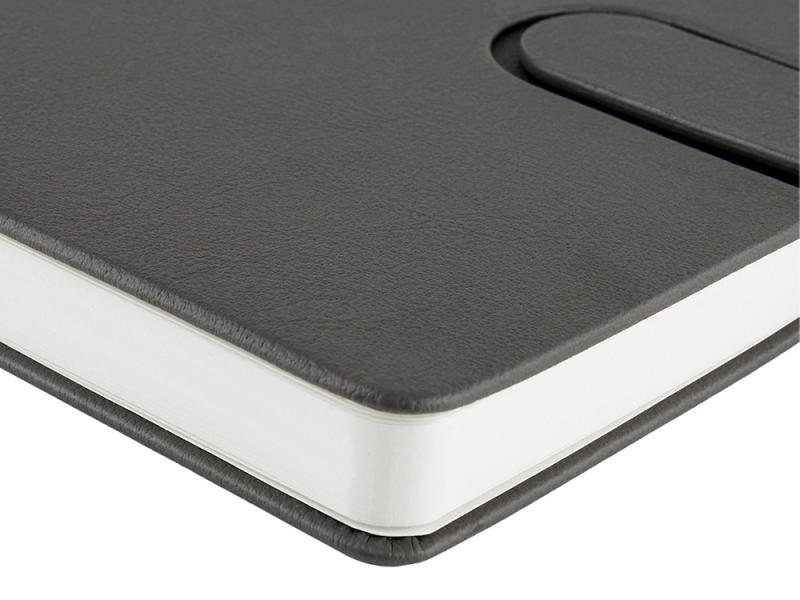 Ежедневник недатированный А5 Status