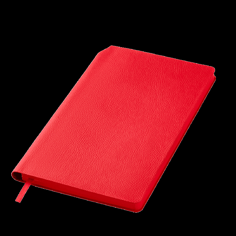 Ежедневник Molto недатированный