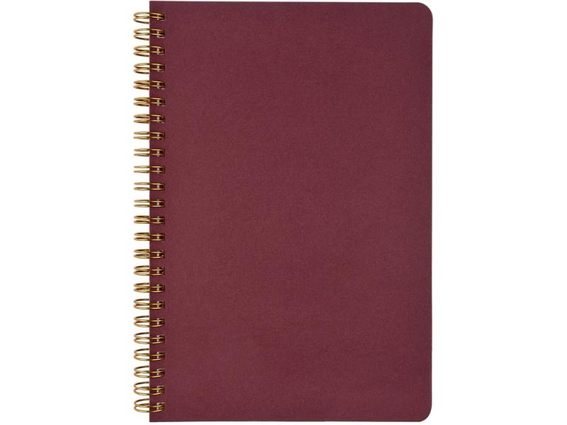 Бизнес тетрадь А5 Pragmatic