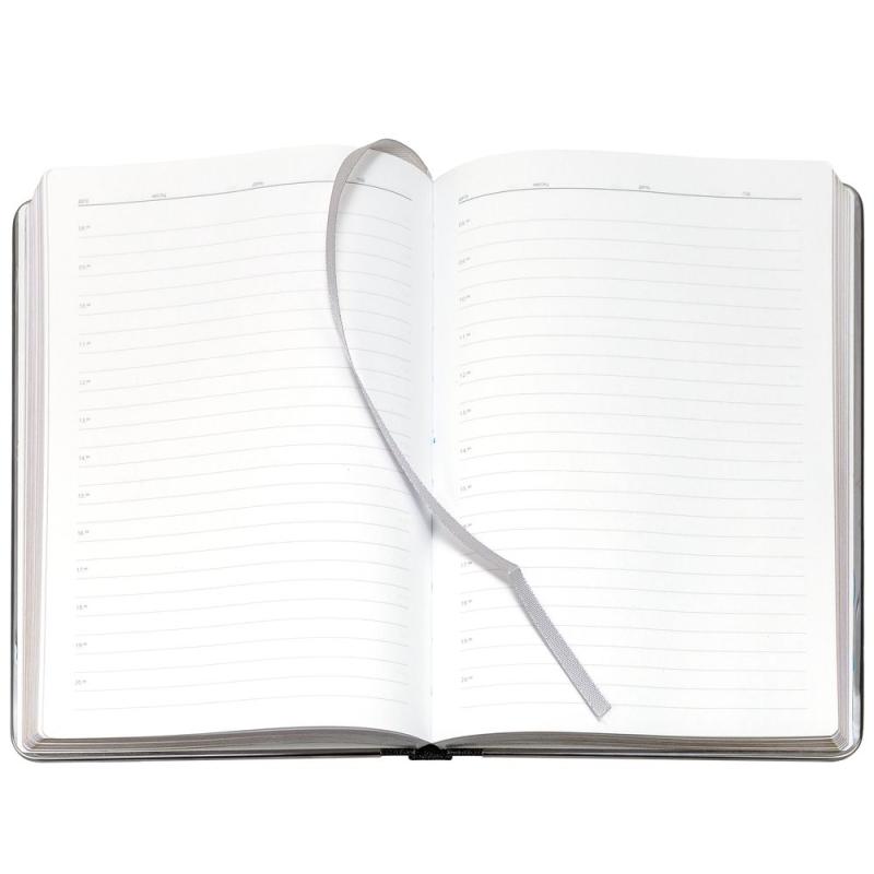 Ежедневник Frame Metal, недатированный