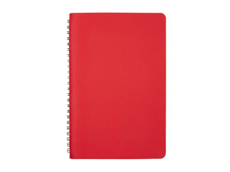 Ежедневник недатированный А5 Alba