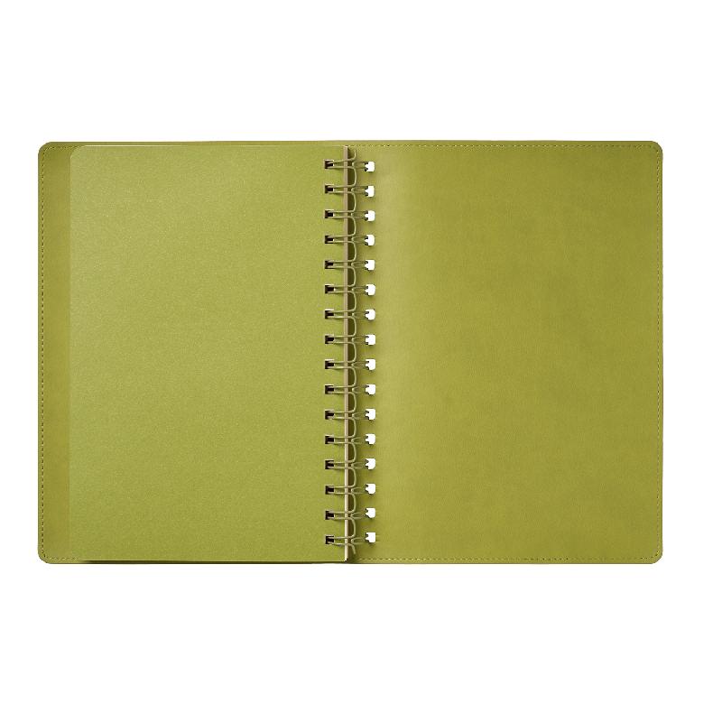 Ежедневник Vista недатированный, 