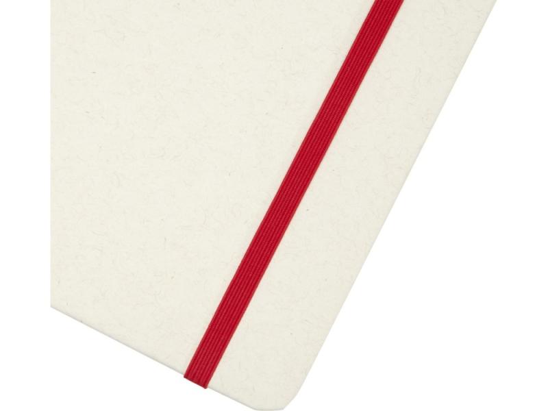 Блокнот A5 Bass