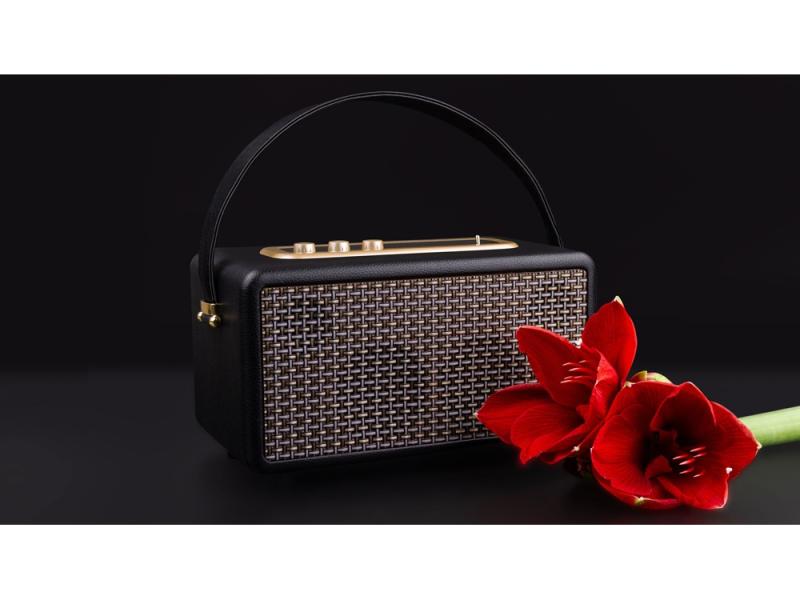 Портативная акустика Mysound Drive