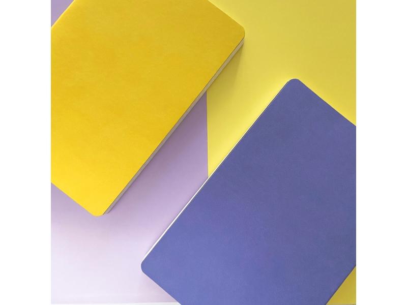 Ежедневник недатированный А5 Megapolis Velvet Flex