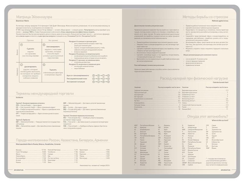 Ежедневник А5 датированный Megapolis Color на 2026 год