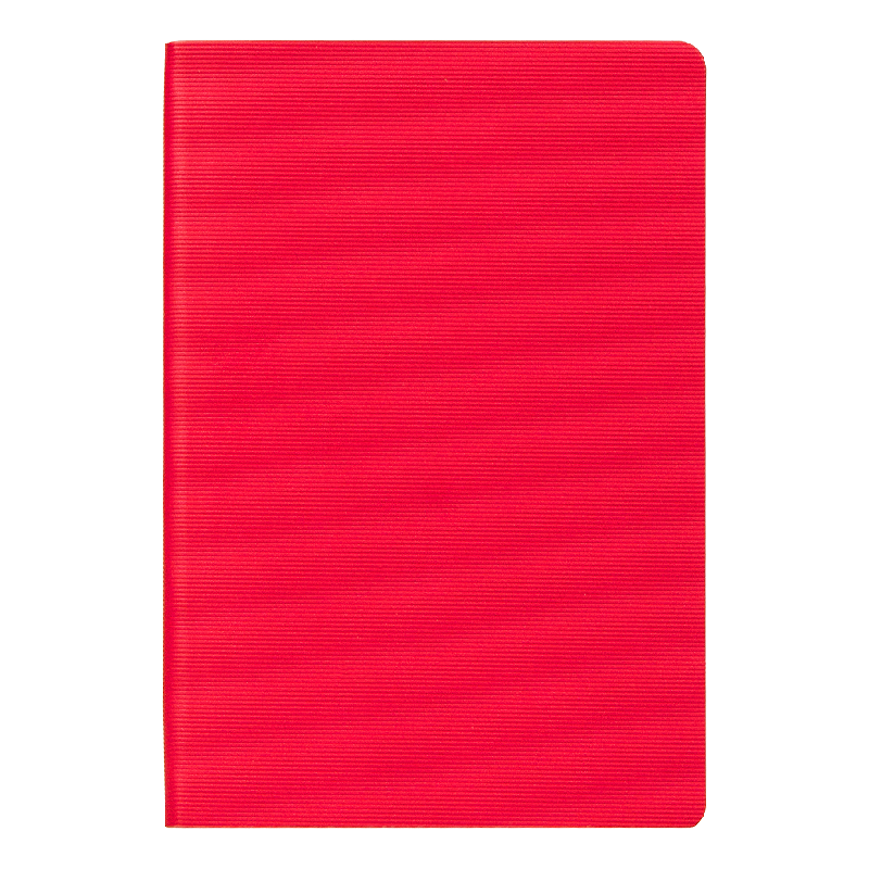 Ежедневник Flexy Happy Line Skyline A5 , недатированный, в гибкой обложке