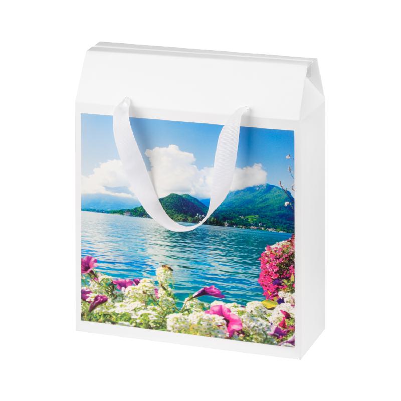 Подарочная коробка-пакет универсальная большая, 295х115х372 мм