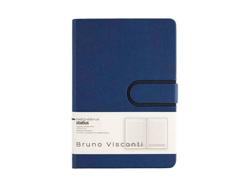 Ежедневник недатированный А5 Status