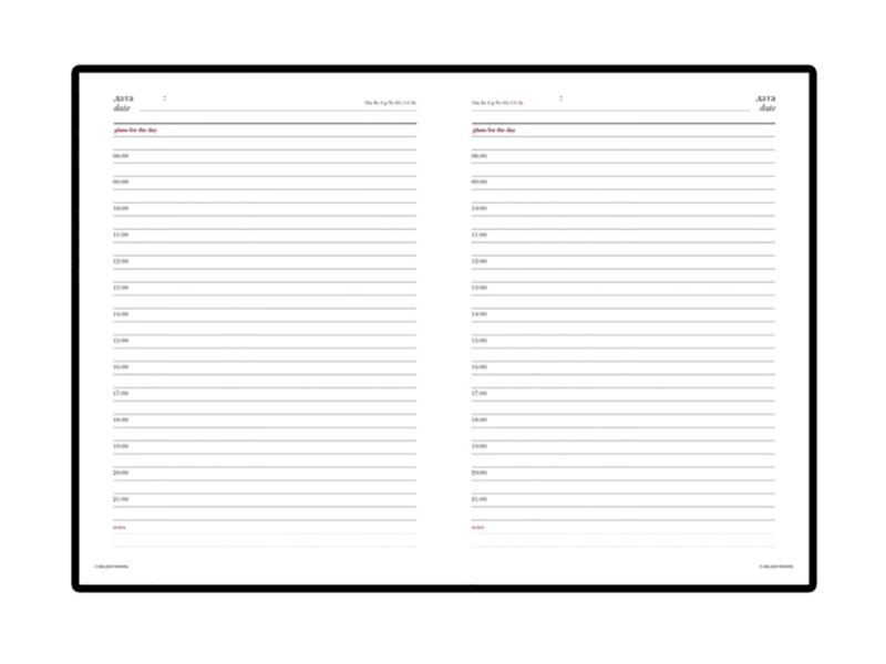 Ежедневник недатированный А6+ Velvet