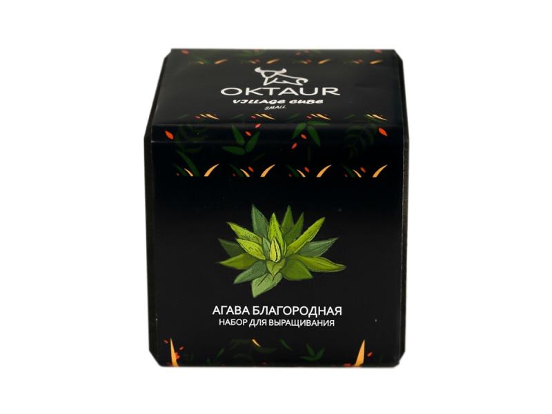 Набор для выращивания Small village cube Агава Благородная