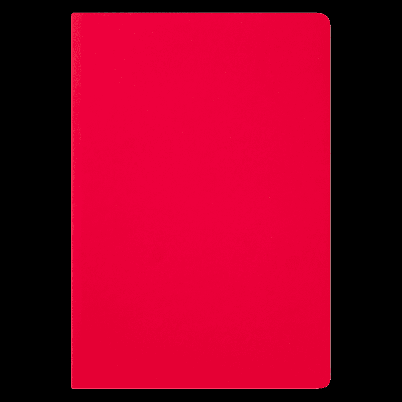 Ежедневник Spark недатированный,  (без упаковки, без стикера)