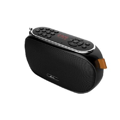 Радиоприемник-колонка Ritmix RPR-008