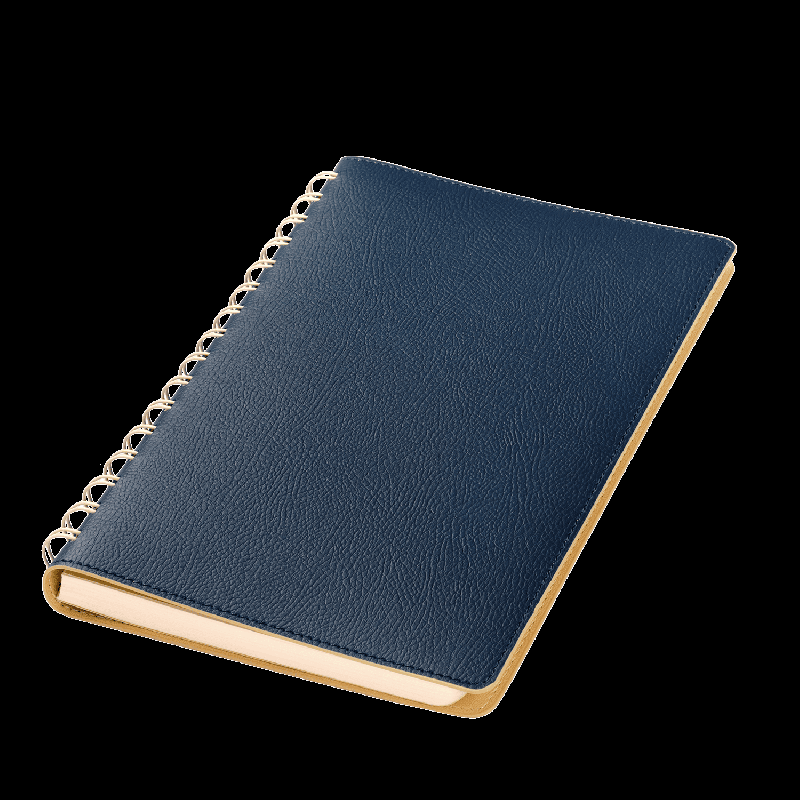 Ежедневник Vista недатированный, 