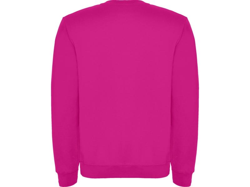 Свитшот с начесом Clasica детский