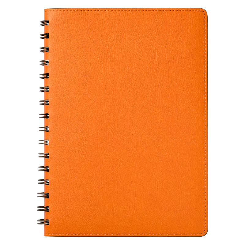 Ежедневник Vista недатированный, 