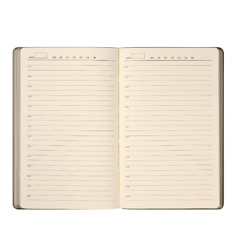 Ежедневник Рейн (Rain) недатированный,  (без упаковки, без стикера)