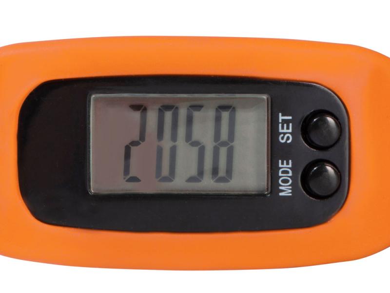 Часы с шагомером Ridley