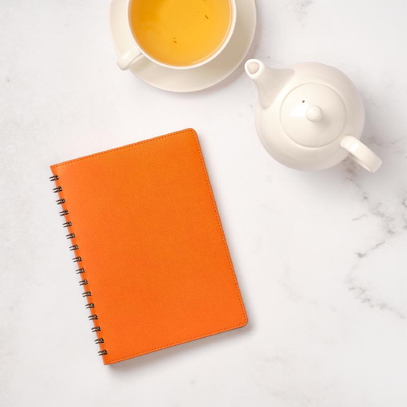 Ежедневник Vista недатированный, 