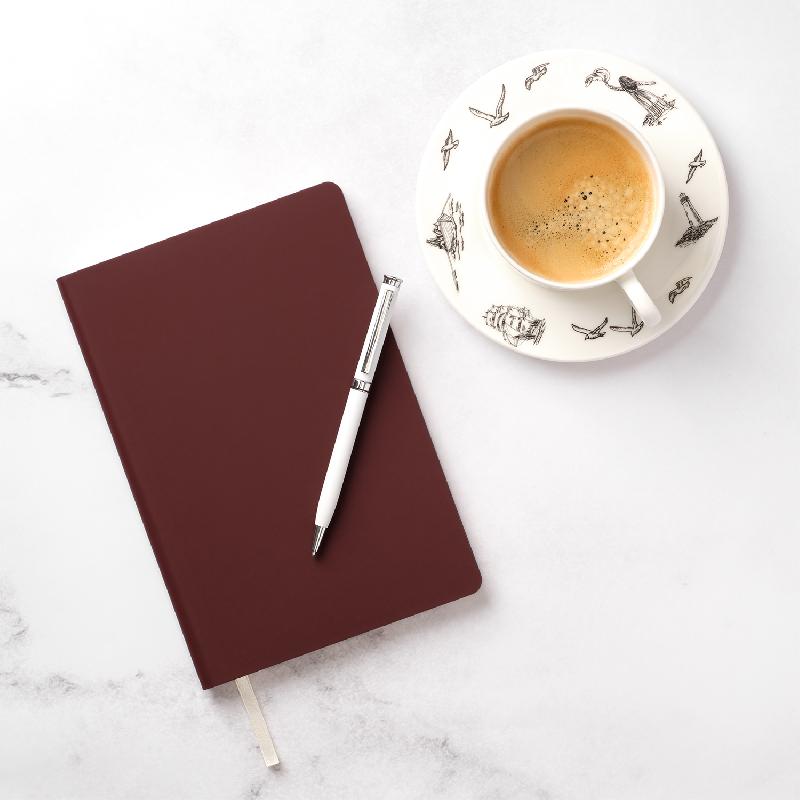 Шариковая ручка Benua