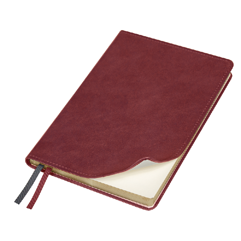 Ежедневник Urban Elegiya Ausone A5,  с золотистым, недатированный, в полугибкой обложке