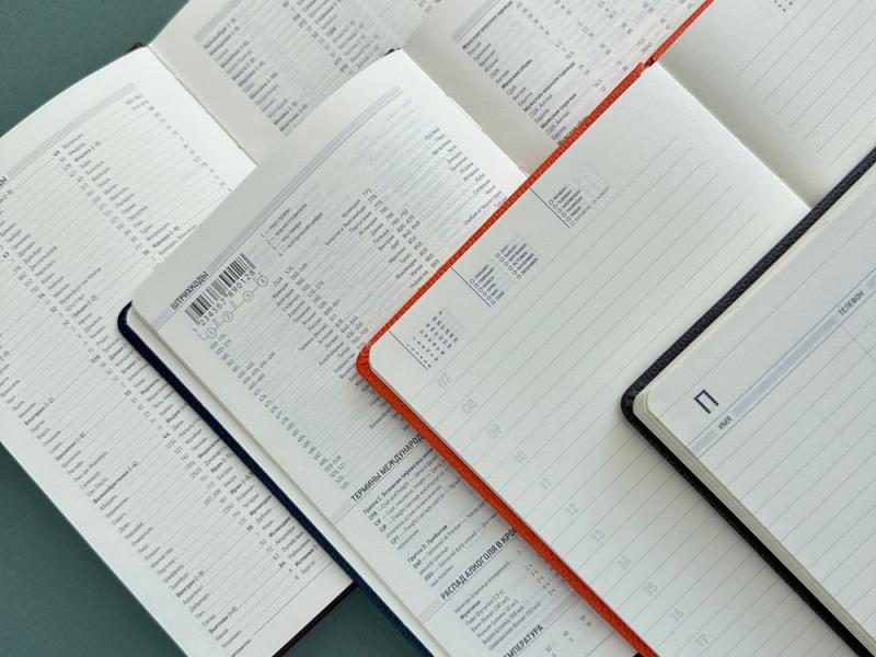 Ежедневник недатированный А5 Megapolis Loft