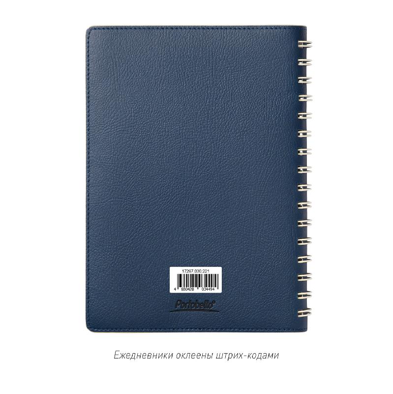 Ежедневник Vista недатированный, 