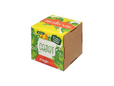 Набор для выращивания Салат