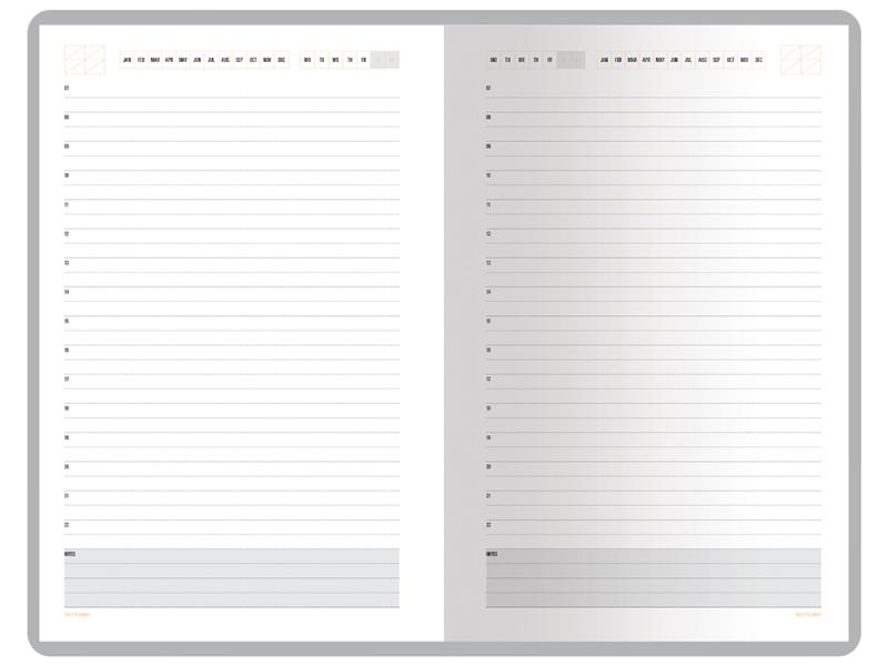 Ежедневник недатированный А5 Mercury