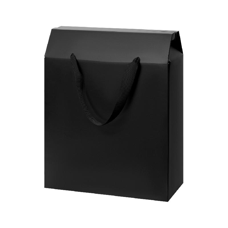 Подарочная коробка-пакет универсальная большая