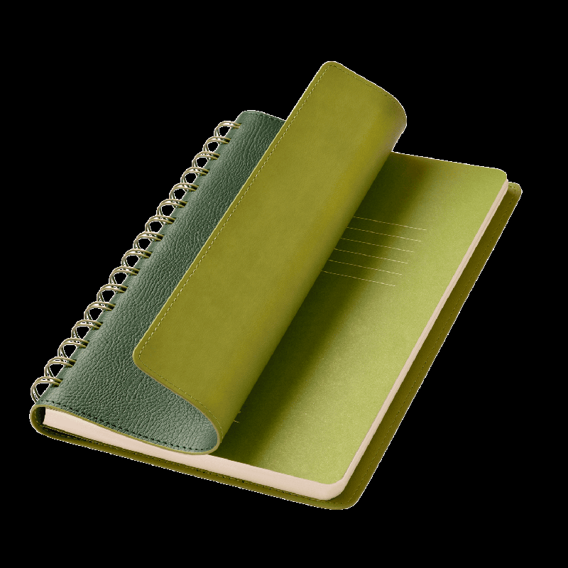 Ежедневник Vista недатированный, 