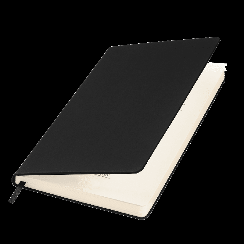 Ежедневник Альфа Битубук (Alpha BtoBook) недатированный,  (без резинки, без упаковки, без стикера)