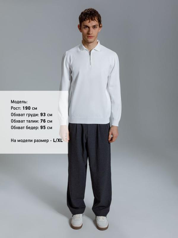 Рубашка поло мужская с длинным рукавом Terrazzo