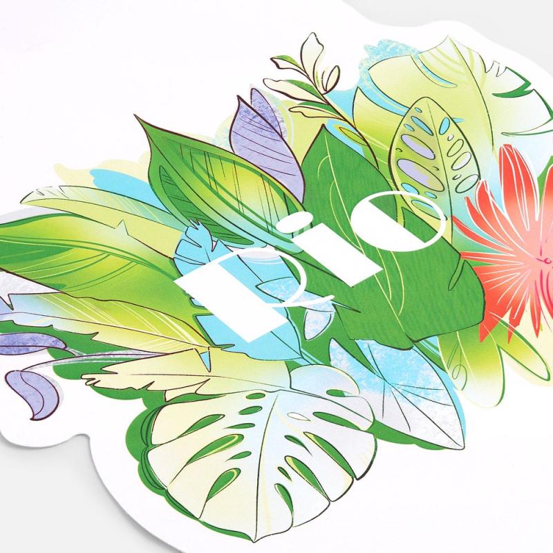 Шубер Casefect на заказ