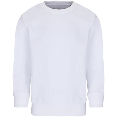 Свитшот детский Columbia Kids, белый, на рост 154-164