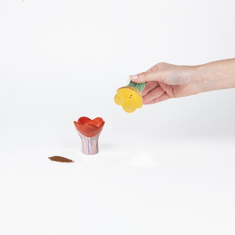 Набор из солонки и перечницы