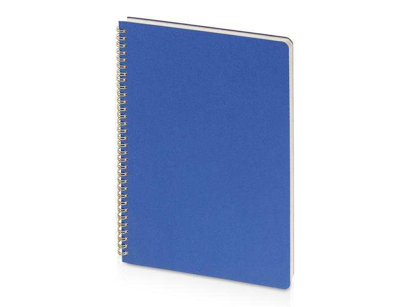 Бизнес-тетрадь А4 Pragmatic