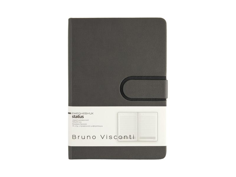 Ежедневник недатированный А5 Status