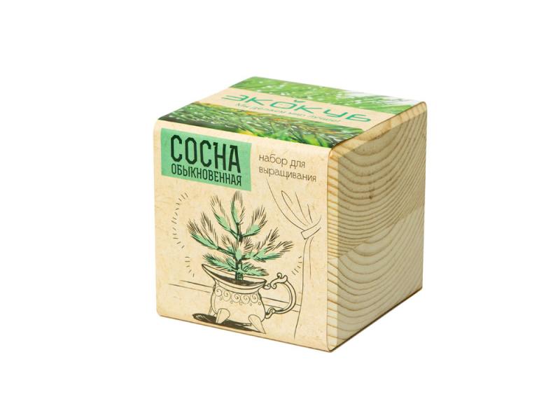 Набор для выращивания Сосна обыкновенная