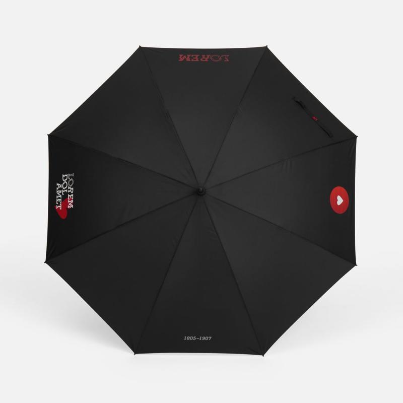 Зонт-трость Rainzee, ver.2