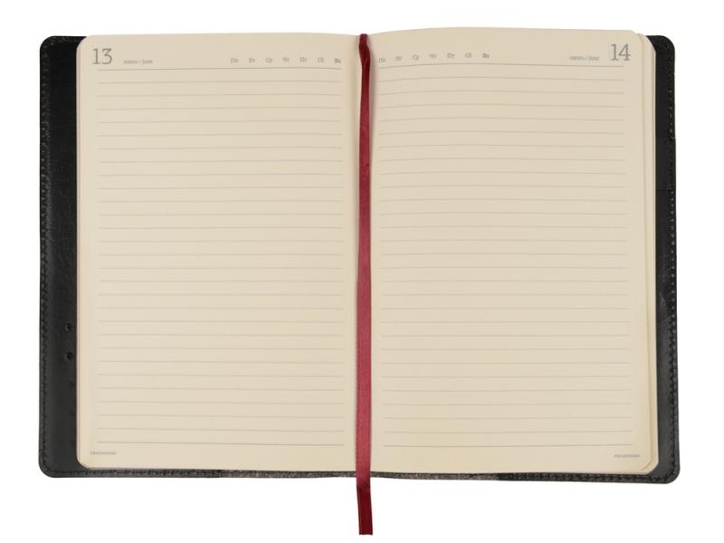 Ежедневник полудатированный портфолио А5 Profy